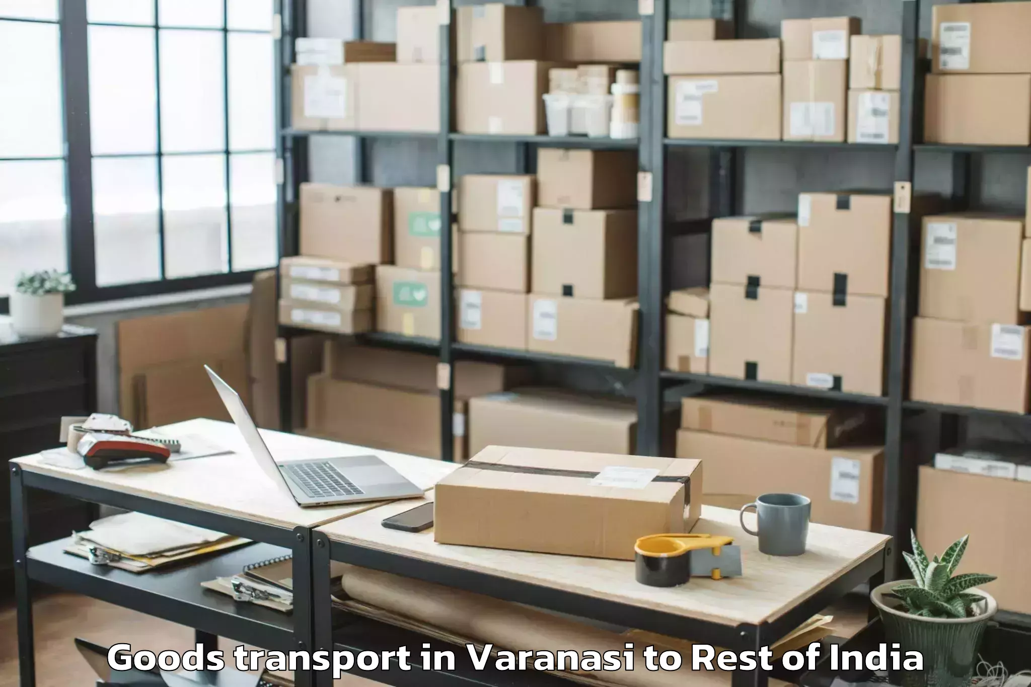 Affordable Varanasi to Boleng Goods Transport